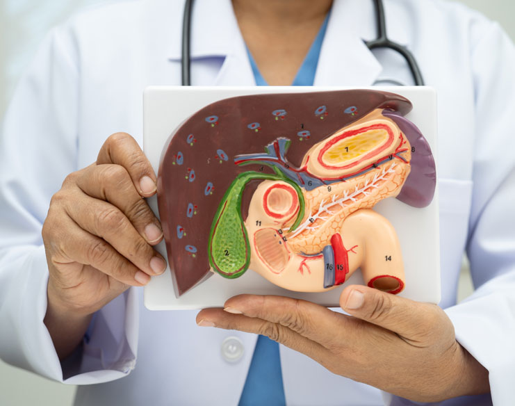 Life After Gallbladder Removal: Is It Safe?